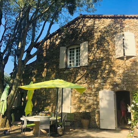 Villa Provencale Familiale Avec Piscine Grimaud Exterior foto