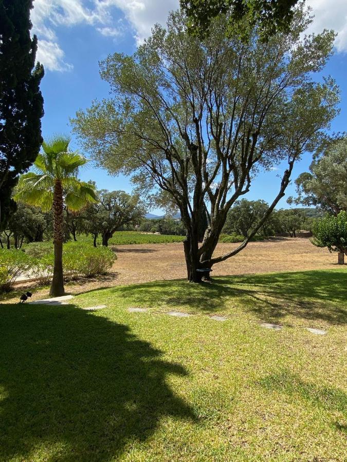 Villa Provencale Familiale Avec Piscine Grimaud Exterior foto