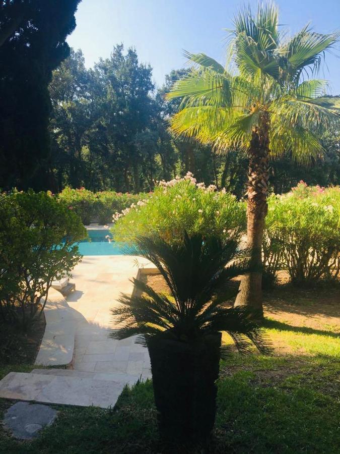 Villa Provencale Familiale Avec Piscine Grimaud Exterior foto