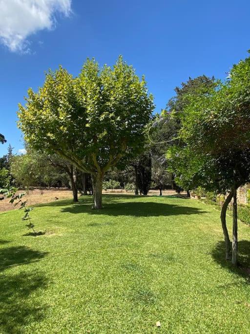 Villa Provencale Familiale Avec Piscine Grimaud Exterior foto